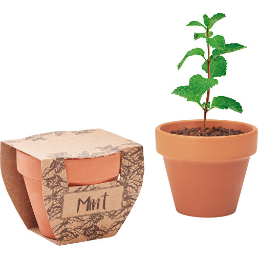 Mint Pot , holz, Terrakotta, 6,00cm x 5,00cm x 5,50cm (Länge x Höhe x Breite), Bild 1