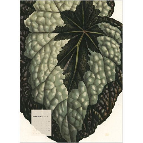 Botanicals , Papier, 49,00cm x 68,00cm (Länge x Breite), Bild 11