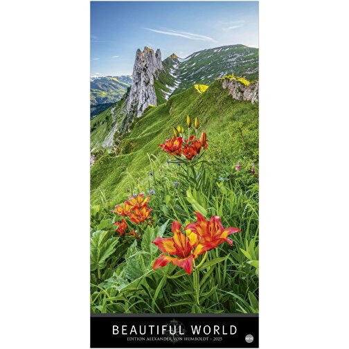 AvH Beautiful World Vertical , Papier, 33,00cm x 68,00cm (Länge x Breite), Bild 1