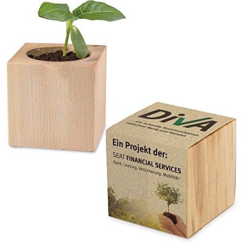 Pot cube - ciboulette, Image 2