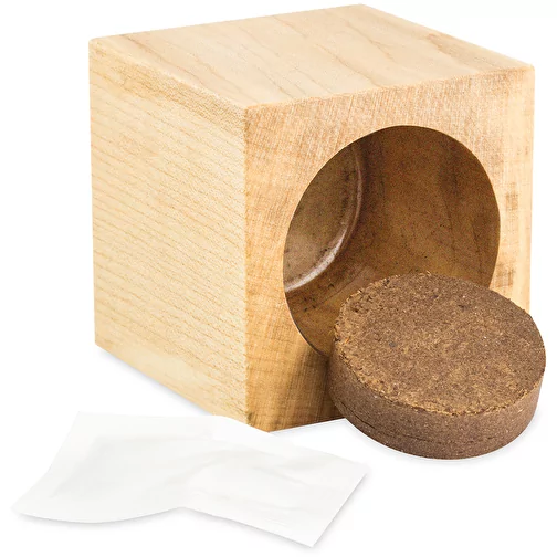Pot cube boisde bureau en boite star-box avec graines - ciboulette, Image 4