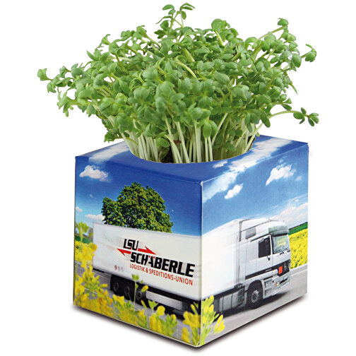 Cube à planter 2.0 avec graines - Persil, Image 4