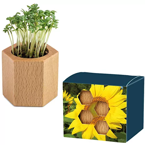 Bois de plantation Hexagon avec graines - Tournesol, 1 face gravée au laser, Image 1