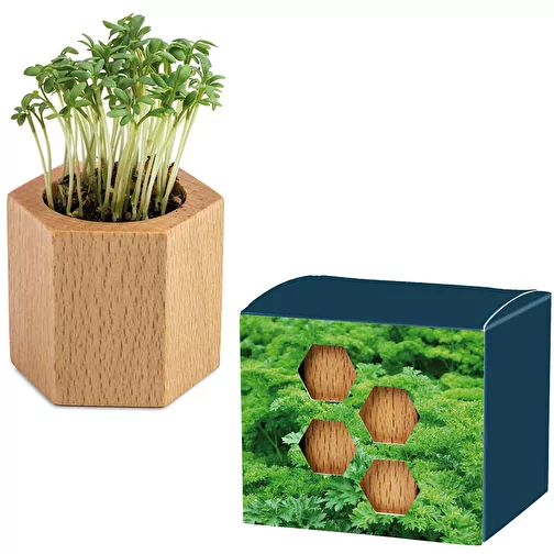 Bois de plantation Hexagon avec graines - Persil, 1 face gravée au laser, Image 1