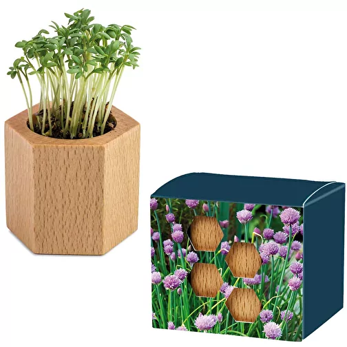 Plantoir Hexagon avec graines - Ciboulette, Image 1