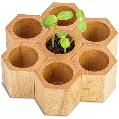 Plantoir Hexagon avec graines - Ciboulette, Image 3