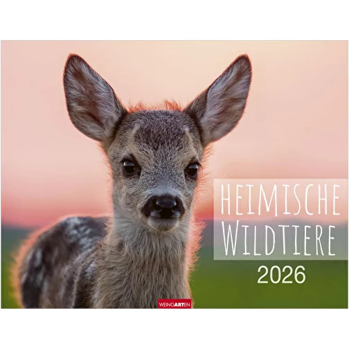 , Bild 1