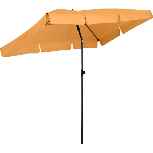 Parasol R, Image 1