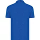 bleu roi